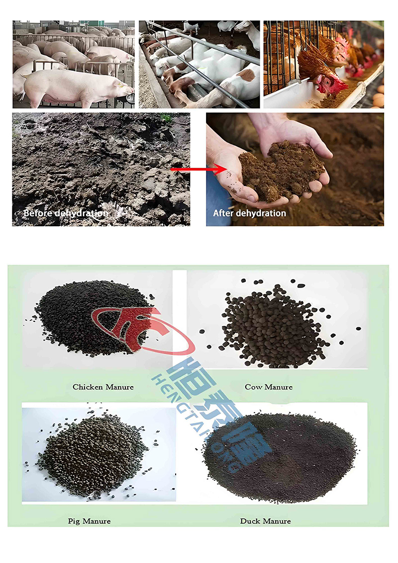 Manure-dryer-machine-8